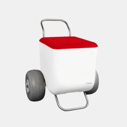 friconbeachcart0