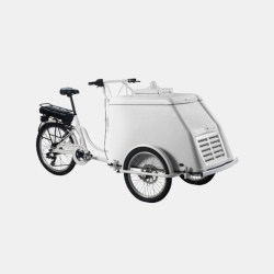 friconpushybike0